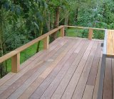 Wooden terrace: which species to choose?