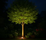 Find out which lighting to use for each part of your garden