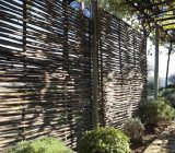 Windbreak in the garden: all the solutions