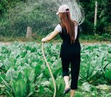 There is something for everyone when it comes to being a gardener!