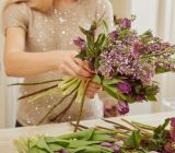 How to make potted lilacs last longer – Home and family > Plants