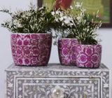 Decorate your home with indoor plants – Home & Family > Plants